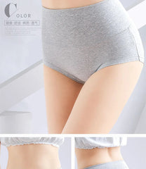 Women's Cotton High Waist Panty